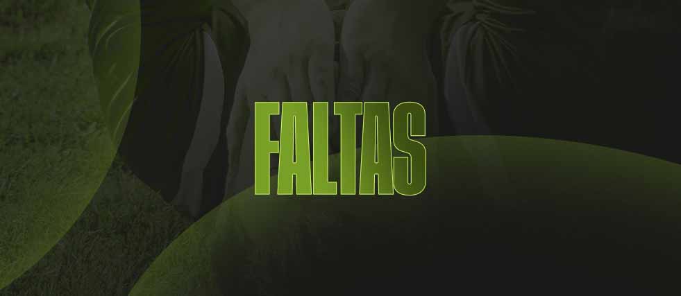 Faltas